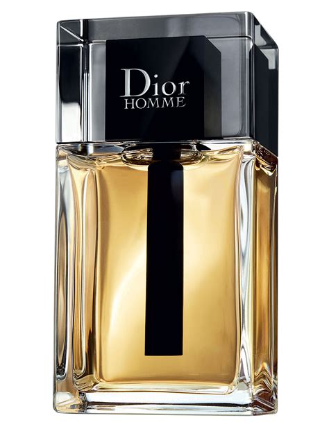 dior mens perfume hoofddorp|dior homme cologne.